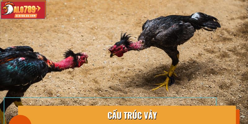 Cấu trúc vảy giúp bảo vệ và tăng cường sức mạnh chiến kê
