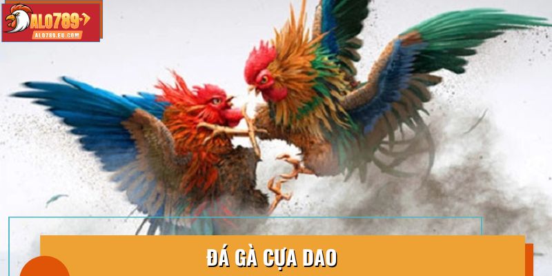Đá Gà Cựa Dao: Tất Tần Tật Về Quy Trình Thi Đấu Và Cá Cược