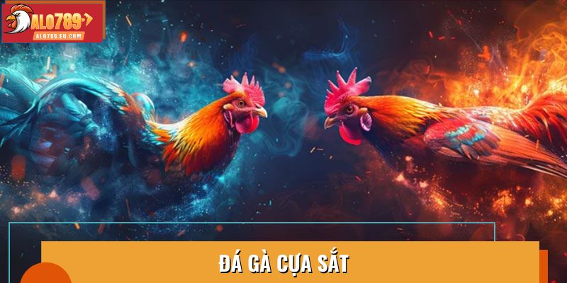 Đá Gà Cựa Sắt: Sân Chơi Cá Cược Hấp Dẫn Dành Cho Mọi Kê Thủ