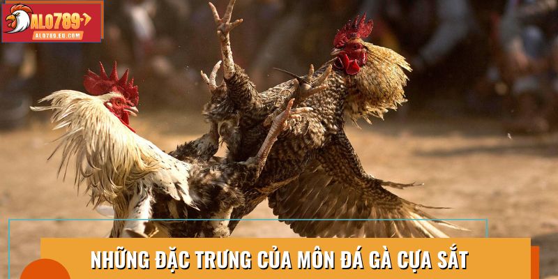 Đặc trưng nổi bật của môn đá gà cựa sắt trong thi đấu