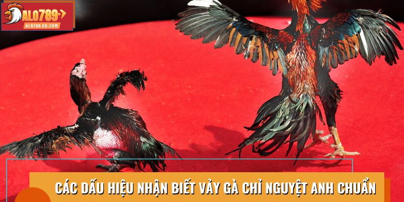 Dấu hiệu nhận biết Vảy Chỉ Nguyệt Anh chuẩn, dễ phân biệt