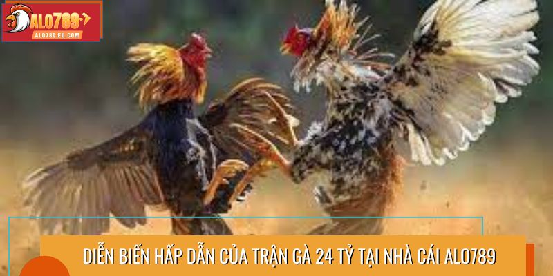 Diễn biến hấp dẫn của trận gà 24 tỷ tại nhà cái Alo789