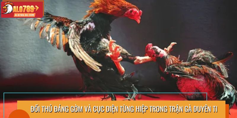 Đối thủ đáng gờm và cục diện từng hiệp trong trận gà Duyên Ti