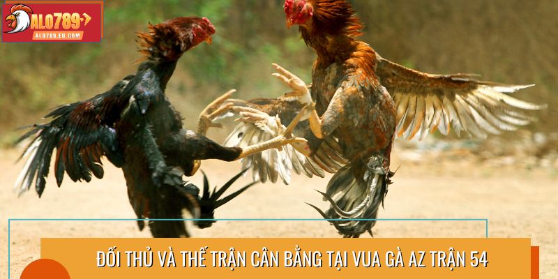 Đối thủ và thế trận cân bằng tại vua gà AZ trận 54