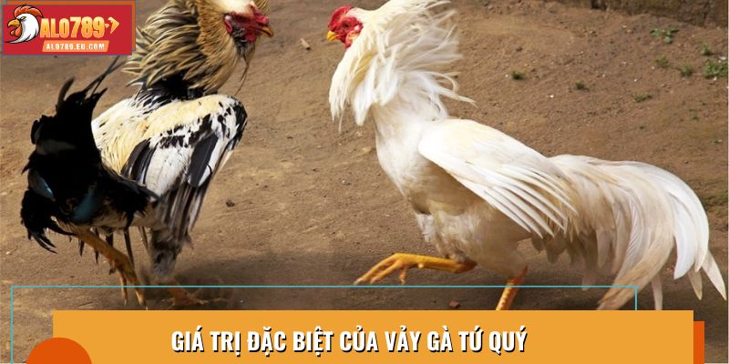 Giá trị đặc biệt của vảy gà tứ quý