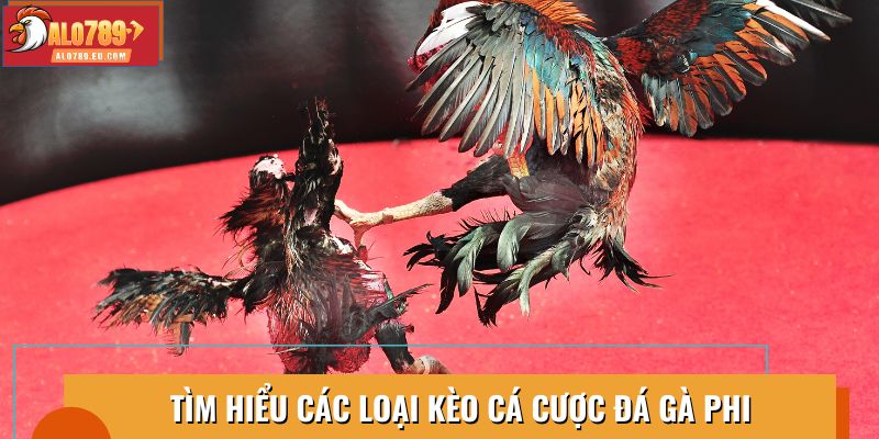 Khám phá các loại kèo cá cược phổ biến trong đá gà phi