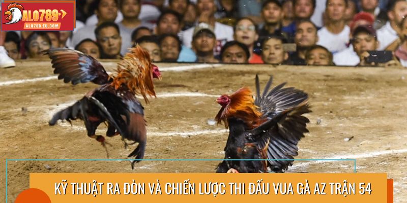 Kỹ thuật ra đòn và chiến lược thi đấu vua gà AZ trận 54