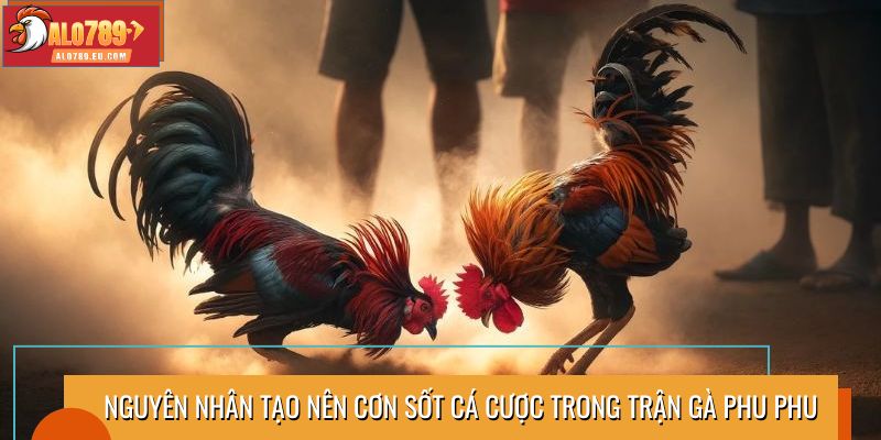 Nguyên nhân tạo nên cơn sốt cá cược trong trận gà Phu Phu