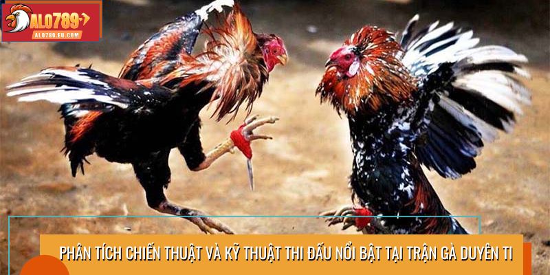 Phân tích chiến thuật và kỹ thuật thi đấu nổi bật tại trận gà Duyên Ti