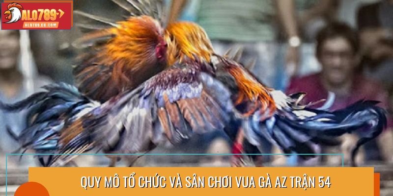 Quy mô tổ chức và sân chơi vua gà AZ trận 54