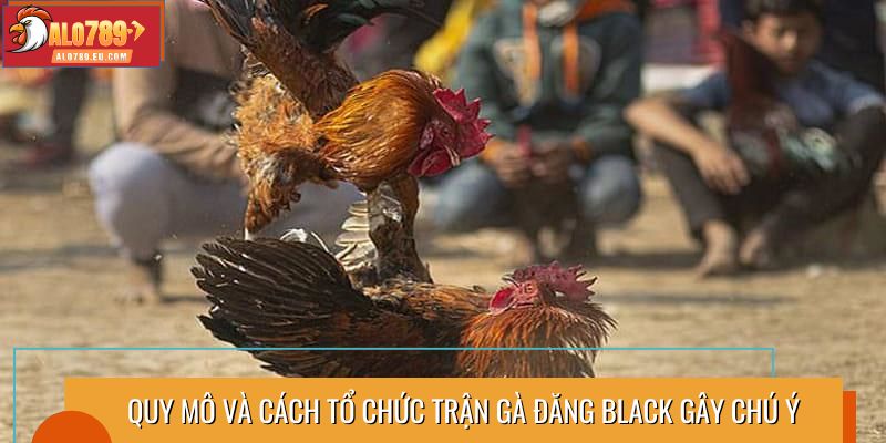 Quy mô và cách tổ chức trận gà Đăng Black gây chú ý