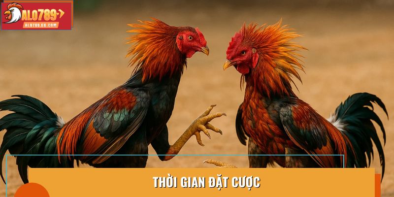 Thời gian đặt cược trước khi trận đấu bắt đầu