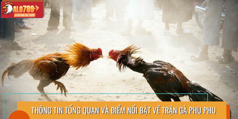 Thông tin tổng quan và điểm nổi bật về trận gà Phu Phu