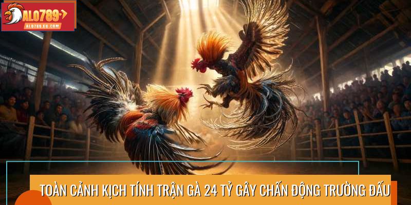 Toàn cảnh kịch tính trận gà 24 tỷ gây chấn động trường đấu