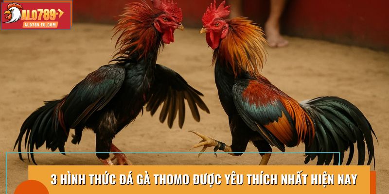 Top 3 hình thức đá gà Thomo được yêu thích nhất hiện nay