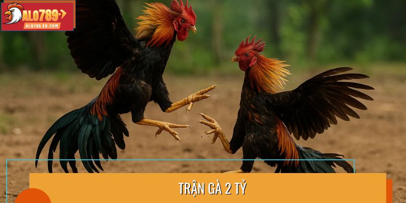 Trận gà 2 tỷ
