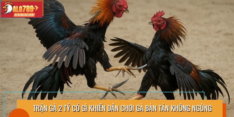 Trận gà 2 tỷ có gì khiến dân chơi gà bàn tán không ngừng