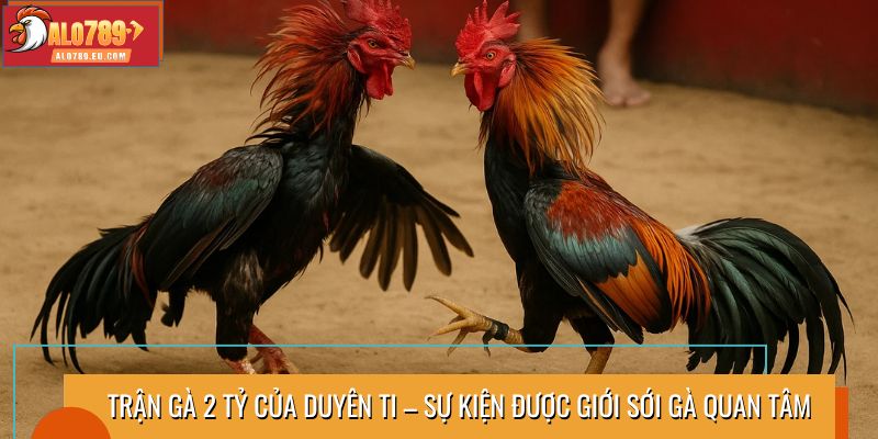 Trận gà 2 tỷ của Duyên Ti – Sự kiện được giới sới gà quan tâm