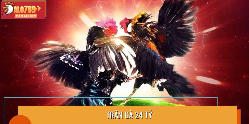 Trận gà 24 tỷ