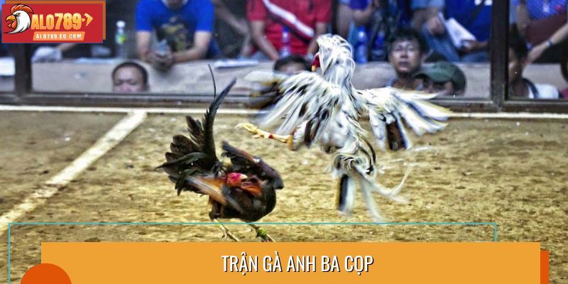 Trận gà Anh Ba Cọp