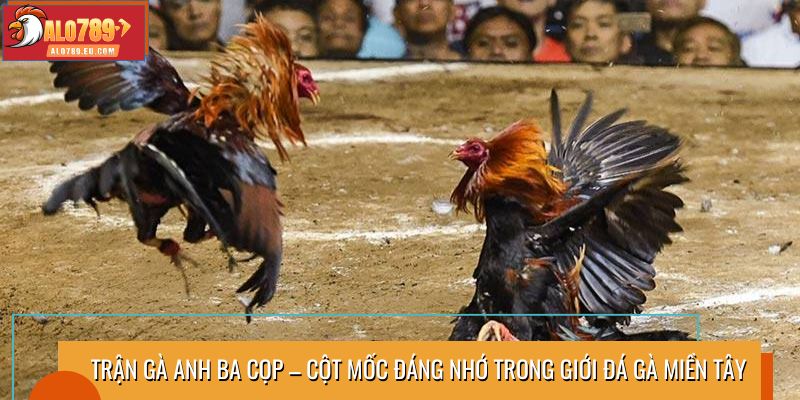 Trận gà Anh Ba Cọp – Cột mốc đáng nhớ trong giới đá gà miền Tây