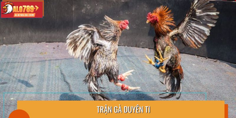 Trận gà Duyên Ti