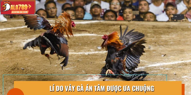 Vảy Gà Án Tâm nổi bật nhờ sức mạnh và độ bền cao