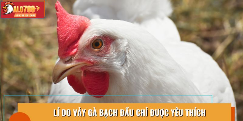 Màu sắc vảy ảnh hưởng đến sức mạnh và khả năng chiến đấu